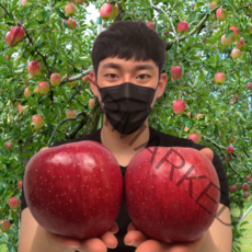 탐란다 17Brix 고당도 안동 부사 보조개 못난이 사과 5kg 10kg, 가정용 5kg 대과