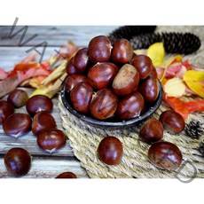 옥광밤/임금님 진상밤/1kg 2kg 4kg, 옥광(대)4kg, 1개