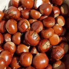 22년햇밤 출시 (공주) 밤 / (특)사이즈 / (대)사이즈 2.1kg ~ 4.2kg, 대(사이즈)