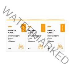 본아페티 브레스캡스 강아지기관지영양제 호흡기 기침 리버스스니징 캡슐 60정, DHA/EPA, 3개