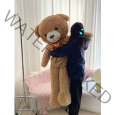 대형 곰인형 봉제 곰돌이 나혼자산다 윌슨 최대1.6m, 하얀색,1.6m