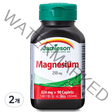 자미에슨 마그네슘 250mg, 90정, 2개