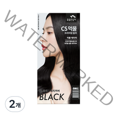 꽃을든남자 CS먹물 프리미엄 헤어 칼라크림, N1(30)흑색, 2개