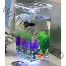 오란다금붕어 버들붕어 안시롱핀 우렁이키우기 자반어항 미니섬프어항 1자어항 자동청소, 자동 청소 어항 풀세트