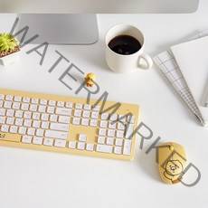 카카오프렌즈 춘식이 라이언 피규어 무선키보드마우스세트, 춘식이세트