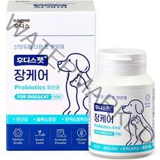 일동후디스 반려동물 후디스펫 장케어 유산균 산양유 60g, 밀크요거트맛, 1개, 소화기능 개선