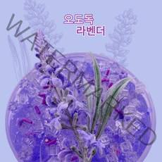 몽글팩토리 수제 DIY 크런치슬라임 오도독라벤더 200ml