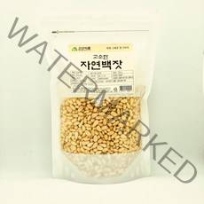 자연백잣500g, 500g, 1개