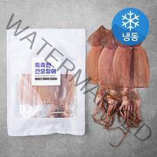 촉촉한 건오징어 5마리 (냉동), 350g, 1개