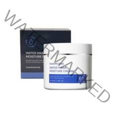 참존 워터 마스크 모이스처 크림 100ml, 1개