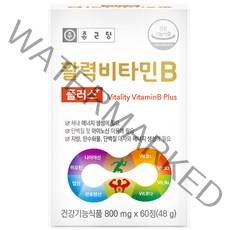 종근당 활력 비타민B 플러스, 60정, 1박스