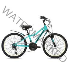 지오닉스스포츠 2022년형 페르마타 22SF MTB 자전거, 민트