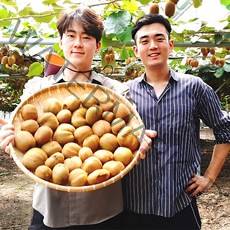 제스프리 골드키위 2kg 3kg 5kg, 제스프리 골드키위(왕점보 3kg / 20과내외)