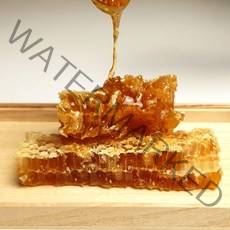 산지직송 천연밀랍 벌집꿀 꿀벌집 통벌집 벌집 200g, 1개