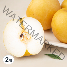 새벽경매 알뜰배, 2.5kg(4~5입), 2개