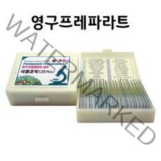 영구프레파라트 식물조직(25매) SD 64005