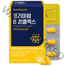 뉴트리원 프리미엄B 컴플렉스 비타민B, 1개, 15g