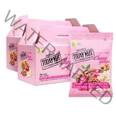투데이넛 너트한줌 치즈퀴노아 견과 선물세트 30개입, 600g, 2개