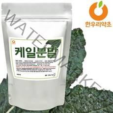 케일가루 300g 분말 국내산 먹는법, 케일가루300g, 1개