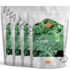 비옴 케일 가루 100%, 4개, 300g