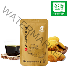 네이처101 유기농 장수 상황버섯 진액 액기스 100% 저온효소분해, 70ml, 1개
