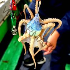 [셀링뉴] 히든훅 쭈꾸미 신형쭈꾸미 애자 애기 에기 갑오징어애자 문어애자 세트 추천 단독출시, 12호, 오렌지