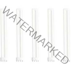 오스람 이관형광등 36W, 주광색, 5개