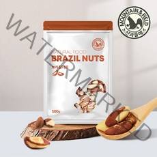 산과들에 브라질너트 1kg 22년산 햇견과, 500g, 2개