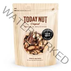 투데이넛 브라질넛, 300g, 1개