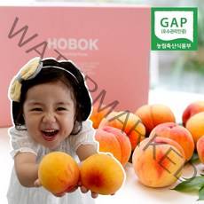 호복 영동 황도 복숭아 2023년 첫출하 고당도 특대과 3kg 7~10과, 황도 특대과3kg(7~10과), 1개