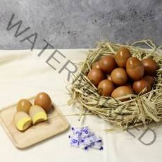 [1+1] 훈제계란 60구