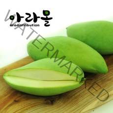 아라몰 태국 그린망고 (Thailand Green Mango), 1kg (3~4과), 1개