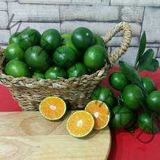 제주햇살애농원 청귤 풋귤 5kg 10kg, 1박스