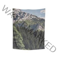 대형패브릭포스터 두꺼비집가리개 쉬폰 패브릭포스터 마운틴뷰 MOUNTAIN VIEW