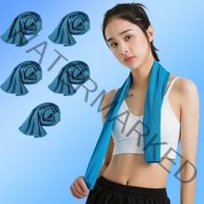 블루유 얼음 스포츠타올 아이스 쿨타올 5P, 블루, 5개