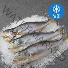 부세굴비 3미 (냉동), 600g, 1팩