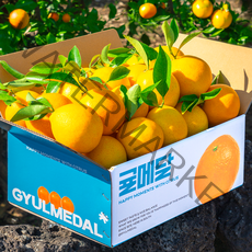 귤메달 제주 황금향, 실속형 3kg (중과)