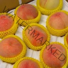 [햇사레복숭아] 말랑이 황도복숭아 털복숭아 3kg 중대과 11~12과, 1박스, 황도/중대과/3kg(11~12과)