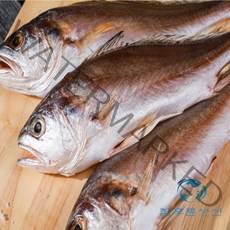 반건조 침조기 손질 되어 먹기 편한 신안 천일염으로 간이 되어 있는 침조기 긴가이석태 10마리 말린생선, 25cm이상 6마리, 1개