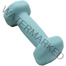 핏분 네오프렌 멜론민트 요가아령 FB-DUM401 1kg, 1개