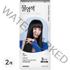 씨드비 물염색 새치 염모제 30g, 내추럴 블랙, 2개