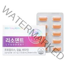 센트럴포뮬러 리소덴트, 60정, 1개