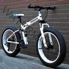 접이식 폴딩 바이크 20인치 팻바이크 펫바이크 로드 산악 자전거, 7단, 화이트