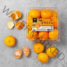 GAP 인증 해풍맞은 올레길 당도선별 하우스감귤, 1kg, 1개