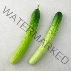 국내산 백오이, 2개입, 1개