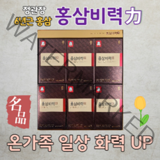 정관장 홍삼비력 6년근 50ml 30포 + 쇼핑백, 1개, 1개