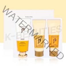 더 후 공진향 진해윤 선크림 기획/본품60ml+폼클렌저40ml+크림클렌저40ml, 1세트