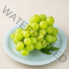 곰곰 영동 샤인머스캣, 500g, 1개