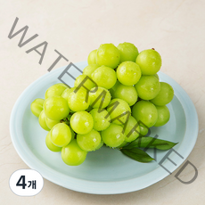 곰곰 영동 샤인머스캣, 500g, 4개