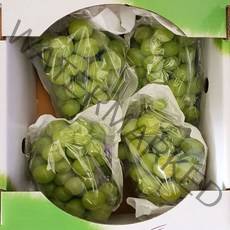 샤인머스켓 고당도, 가정용 샤인 2kg(5~6수)